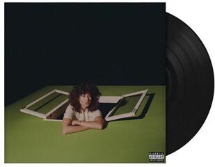 Disco de vinil Towa Bird - American Hero (LP)