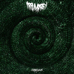 Vinyl Record Trauma Ray - Chameleon (LP)