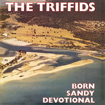 Disco in vinile The Triffids - Born Sandy Devotional (Limited Edition) (Yellow Coloured) (LP) - 1