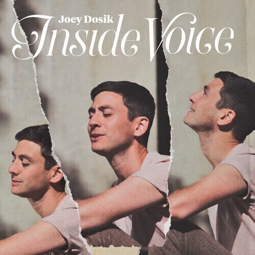 Vinylplade Joey Dosik - Inside Voice (Limited Edition) (Coloured) (LP)