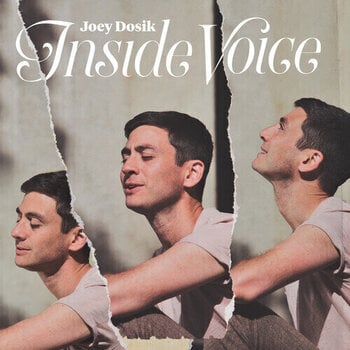 Vinylplade Joey Dosik - Inside Voice (Limited Edition) (Coloured) (LP) - 1