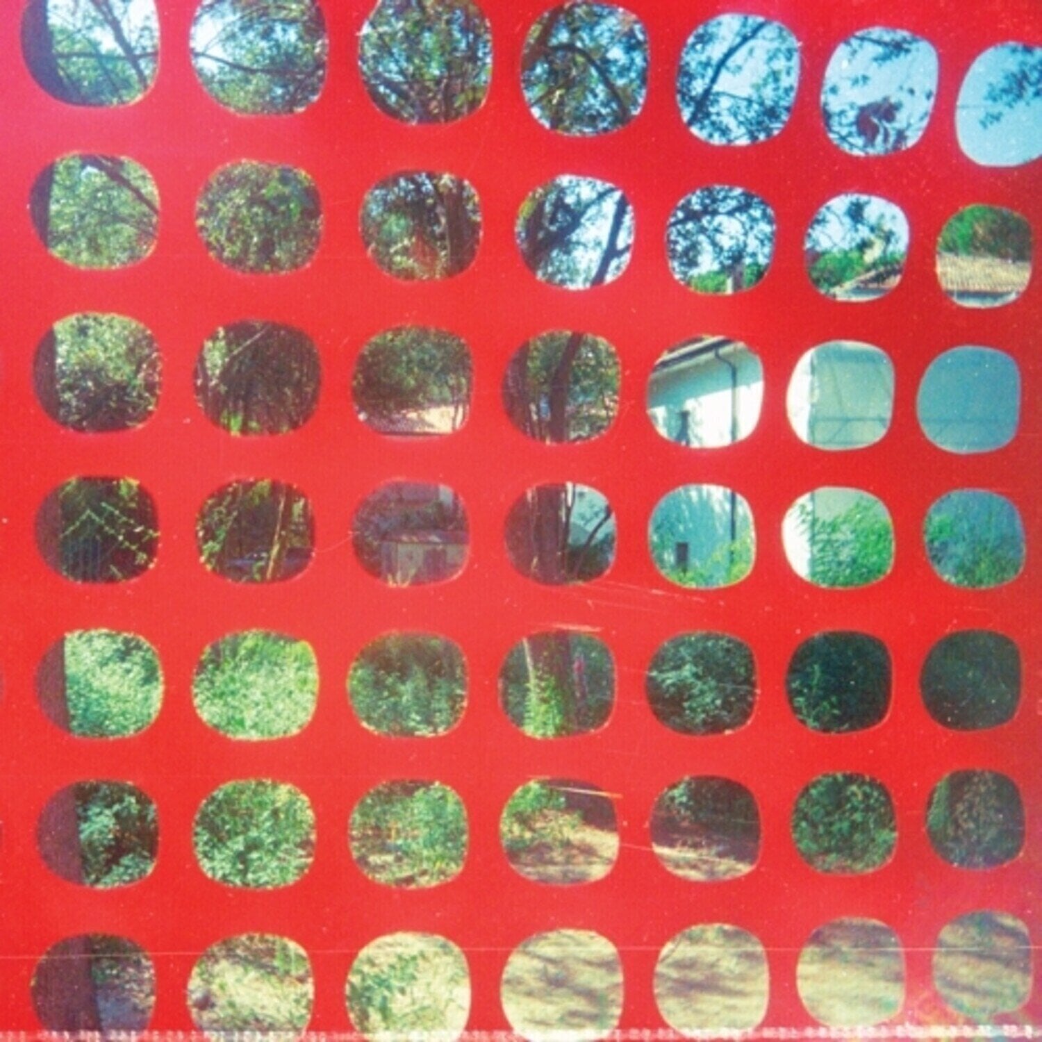 Vinyl Record John Dwyer & Ted Byrnes & Greg Coates & Tomas Dolas & Brad Caulkins - Endless Garbage (Limited Edition) (LP)