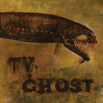 Vinyl Record TV Ghost - Cold Fish (LP) - 1