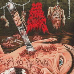 Vinyylilevy 200 Stab Wounds - Slave To The Scalpel (Limited Edition) (LP)