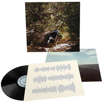 Disco in vinile Ty Segall - Possession (LP) - 1