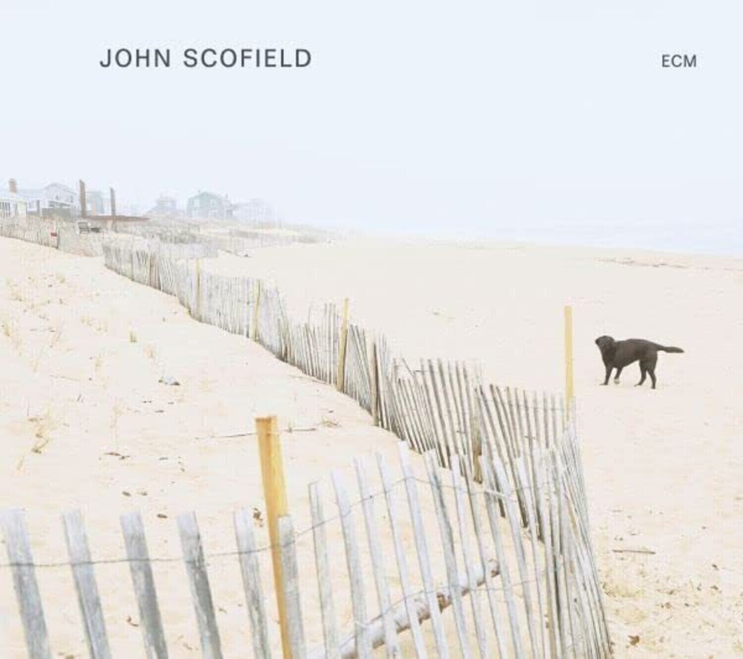 Vinylplade John Scofield - John Scofield (LP)