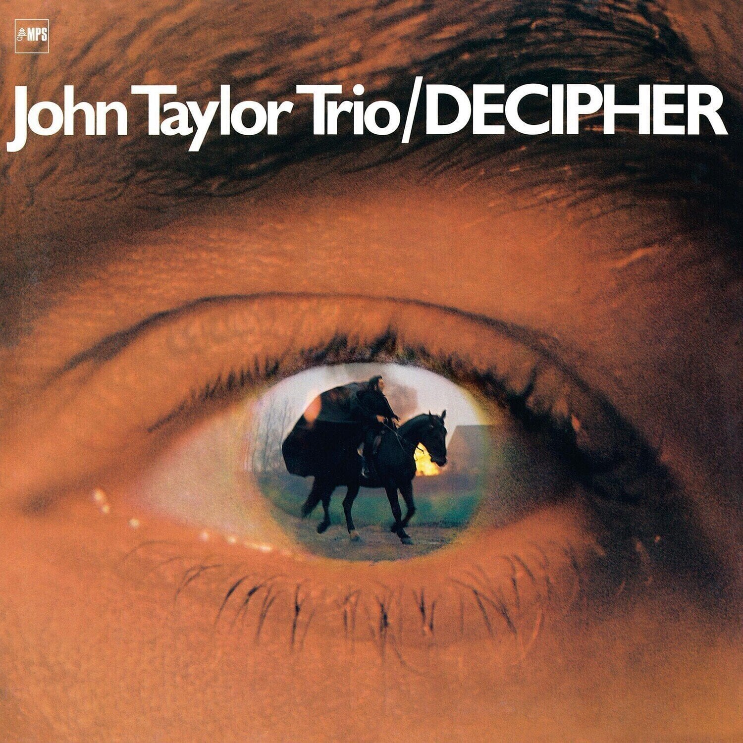 Vinyl Record John Taylor Trio - Decipher (Reissue) (180 g) (LP)