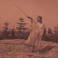 Vinyl Record Unknown Mortal Orchestra - II (Limited Edition) (LP)