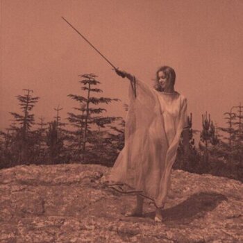 Vinyl Record Unknown Mortal Orchestra - II (Limited Edition) (LP) - 1