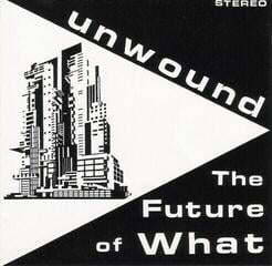 LP ploča Unwound - The Future Of What (Reissue) (Yellow Coloured) (LP)