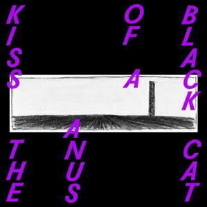 LP ploča Kiss The Anus Of A Black Cat - If The Sky Falls, We Shall Catch Larks (Reissue) (LP) - 1