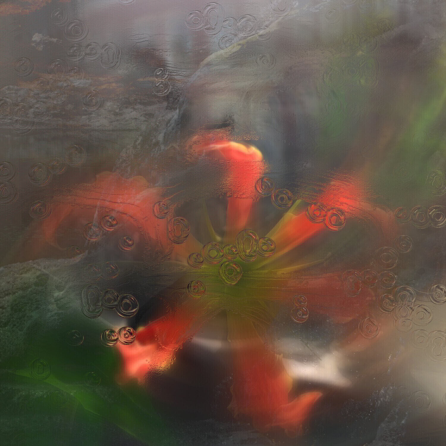 Vinyl Record Upsammy - Germ In A Population Of Buildings (LP)