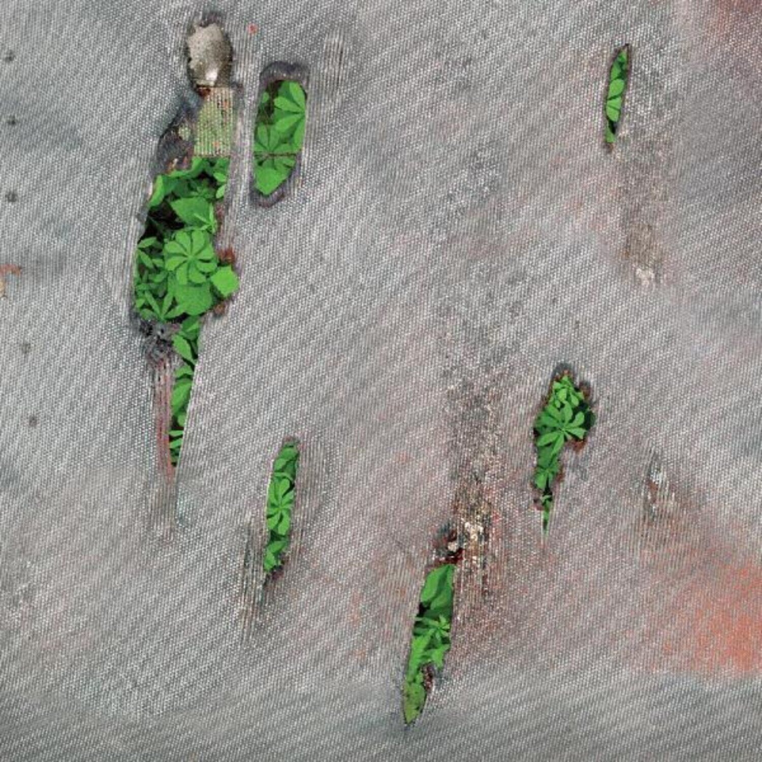 Schallplatte Koreless - Agor (Limited Edition) (LP)