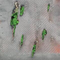 Vinyl Record Koreless - Agor (Limited Edition) (LP)