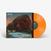 Schallplatte Villagers - Fever Dreams (Limited Edition) (Orange Coloured) (LP)