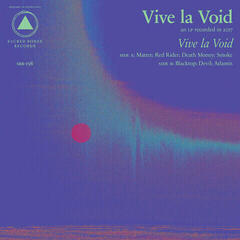 Vinyl Record Vive La Void - Vive La Void (LP)