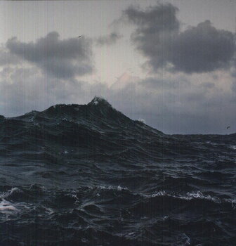 Vinyl Record Volcano Choir - Repave (Limited Edition) (LP) - 1