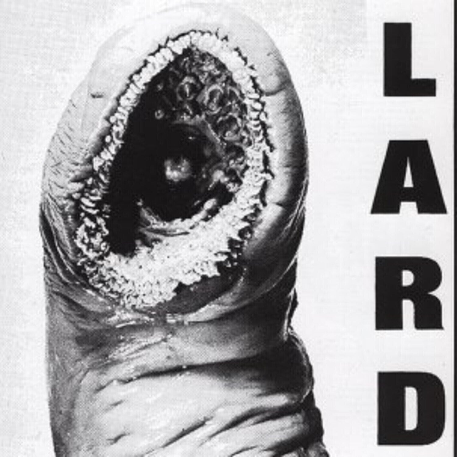 Грамофонна плоча Lard - Power Of Lard EP (Reissue) (White Coloured) (EP)