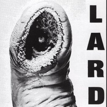Грамофонна плоча Lard - Power Of Lard EP (Reissue) (White Coloured) (EP) - 1