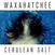 Δίσκος LP Waxahatchee - Cerulean Salt (Reissue) (Indie Exclusive Purple Pinwheel Coloured) (LP)