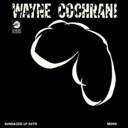 Vinüülplaat Wayne Cochran - Wayne Cochran (Reissue) (LP)