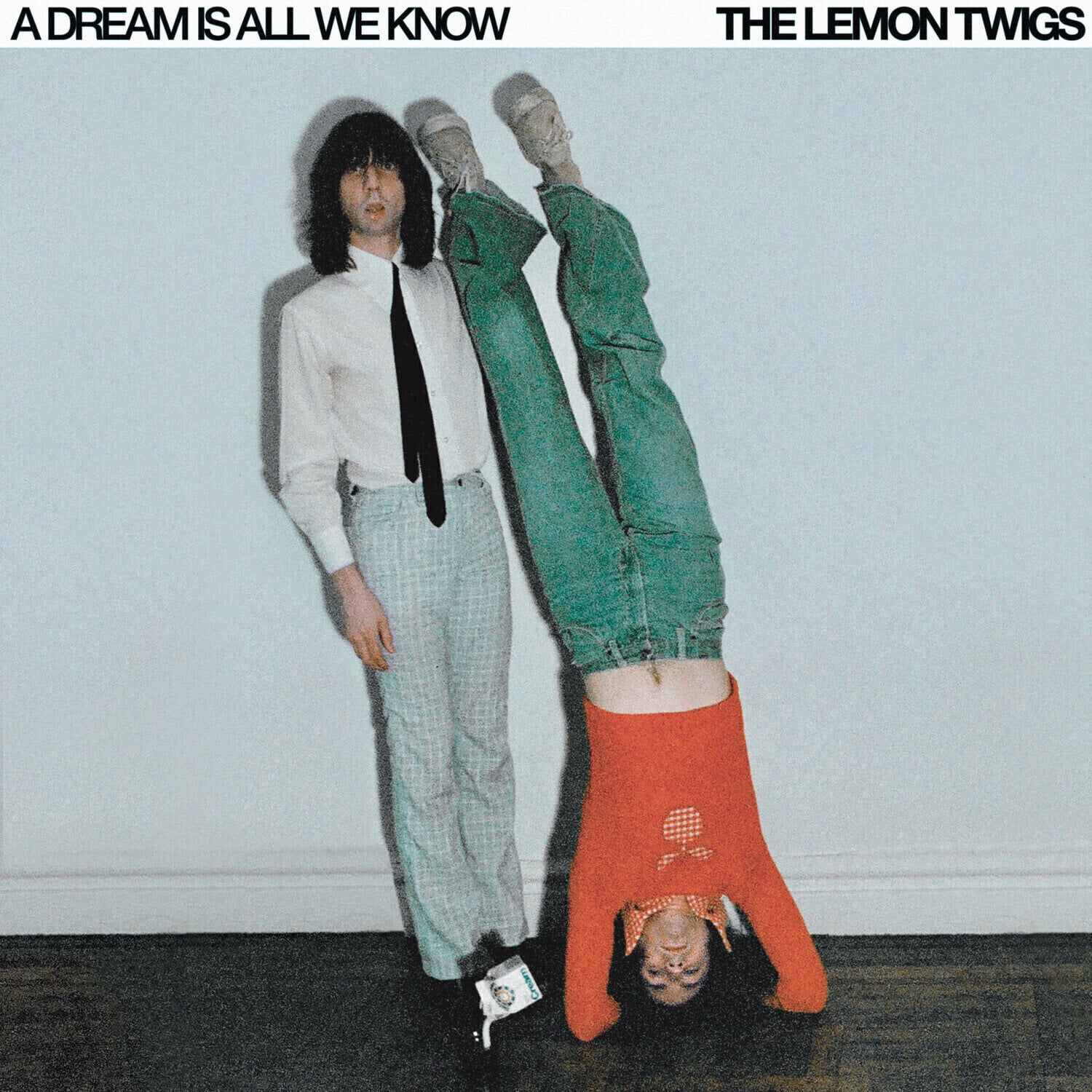 Schallplatte The Lemon Twigs - A Dream Is All We Know (LP)