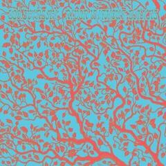 Schallplatte Leo Svirsky - River Without Banks (LP)