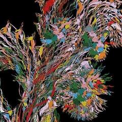 Vinyl Record Weval - Remember (2 LP)