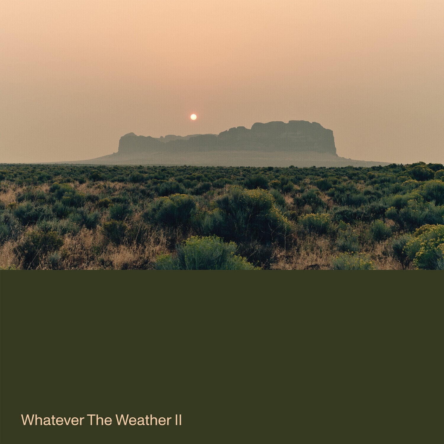 LP ploča Whatever The Weather - Whatever The Weather II (Dark Green Coloured) (LP)