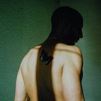 LP ploča Willem de Bruin - Man In Nood (LP) - 1