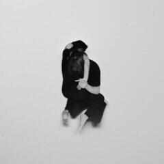 Disque vinyle Wildbirds & Peacedrums - Rhythm (Limited Edition) (LP + CD)