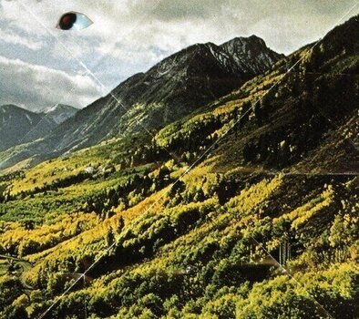 Disco in vinile Woods - Songs Of Shame (LP) - 1