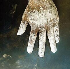 Vinüülplaat Wrekmeister Harmonies - Night Of Your Ascension (LP)