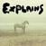 Disc de vinil Little Wings - Explains (LP)