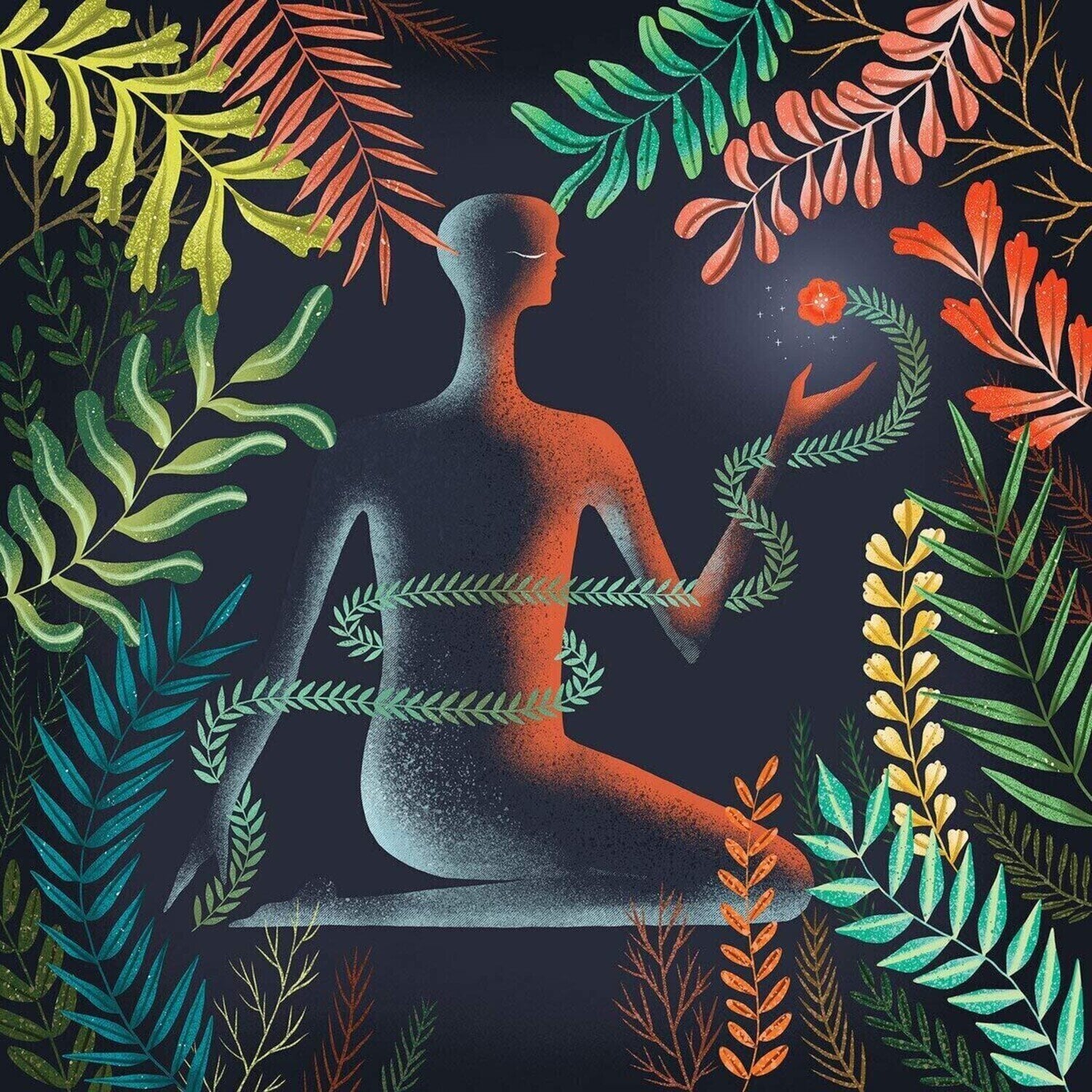 LP ploča Loma - Don't Shy Away (Limited Edition) (LP)