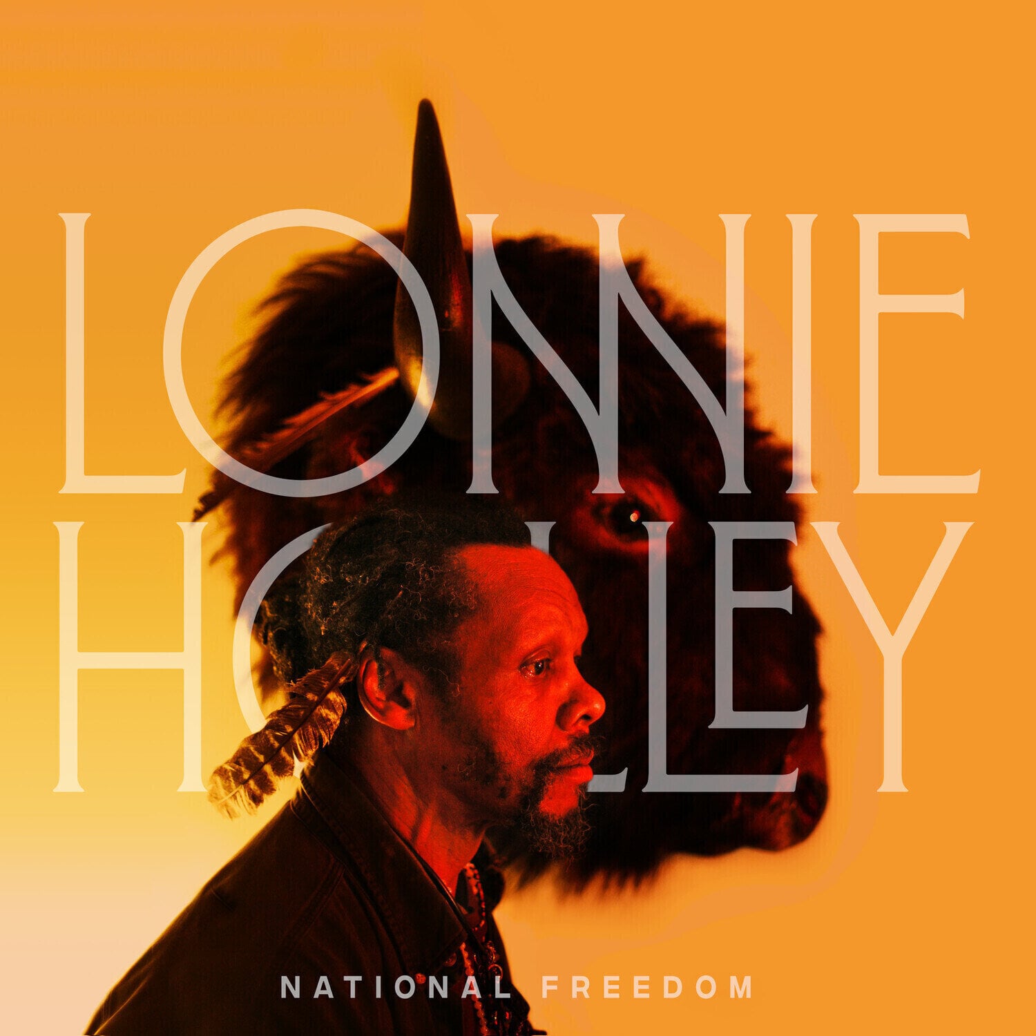 Vinyl Record Lonnie Holley - National Freedom (LP)