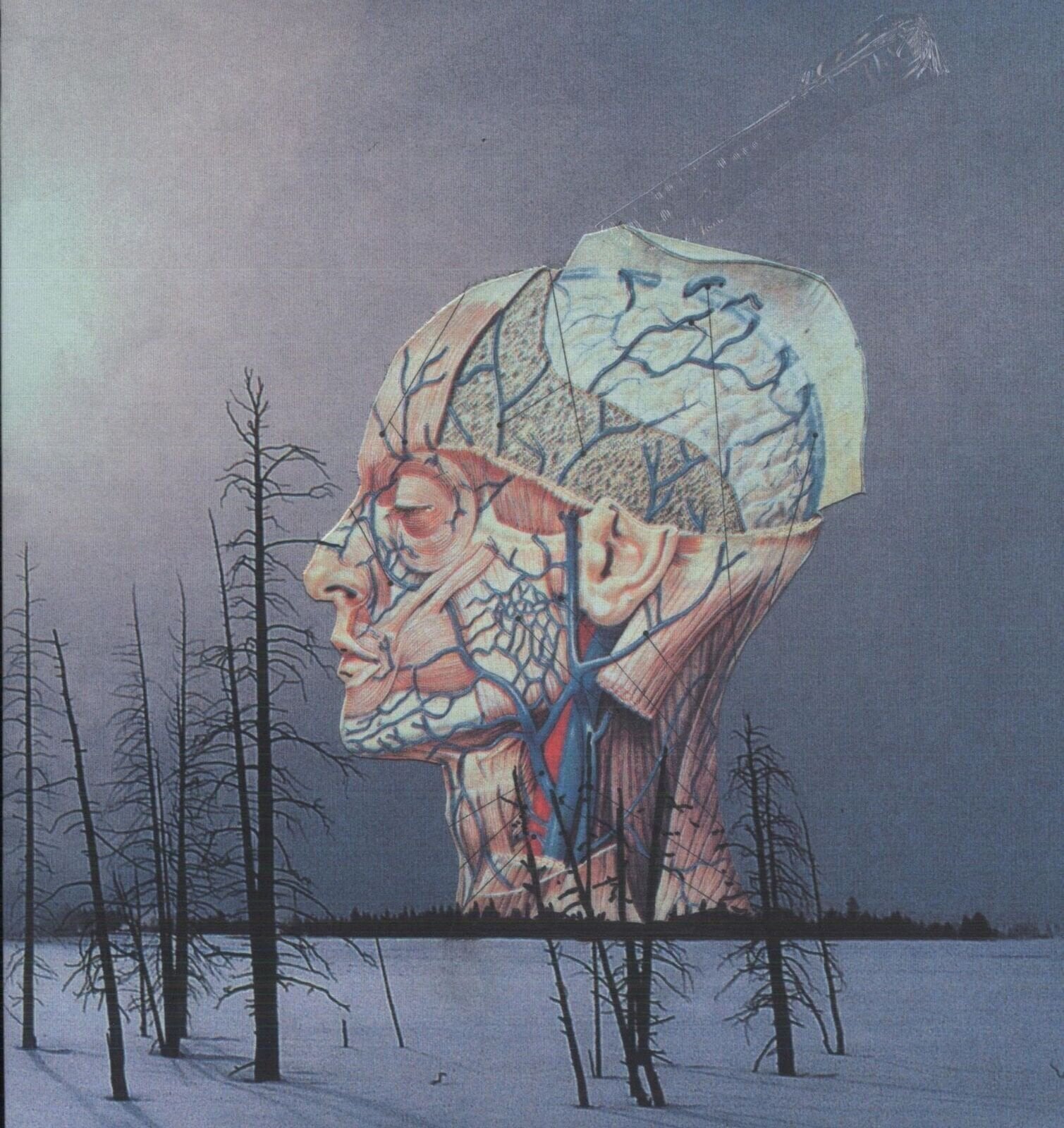 Schallplatte Low - Songs For A Dead Pilot (EP)