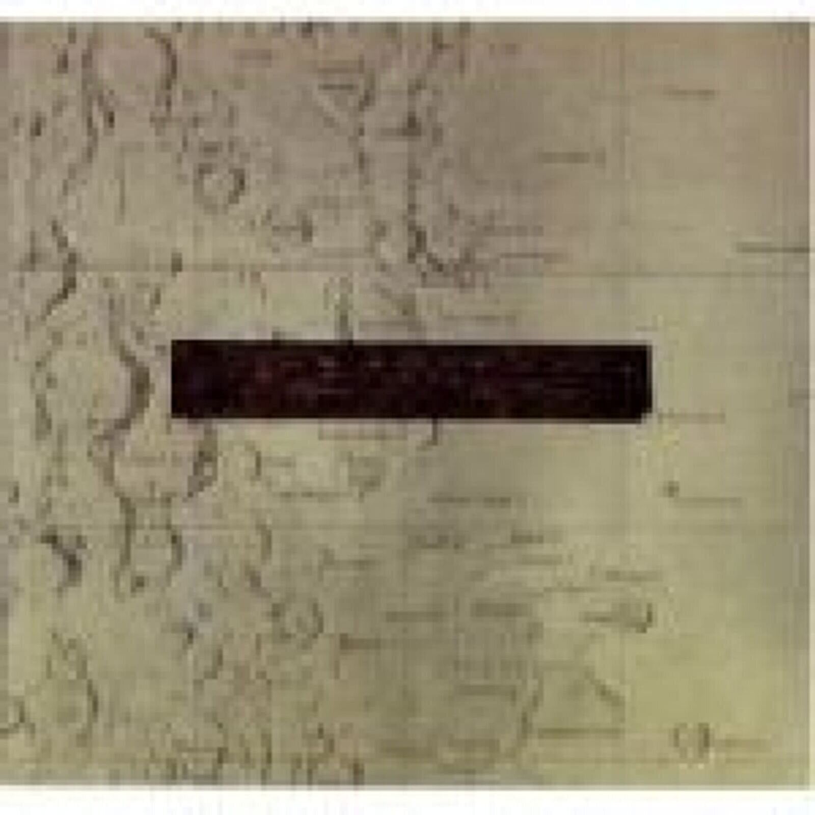 Vinyylilevy Low - Things We Lost In The Fire (2 LP)