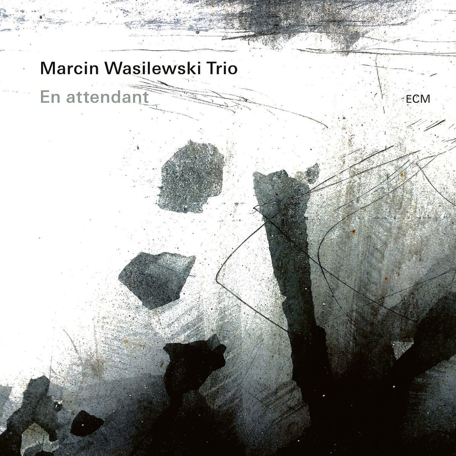 Schallplatte Marcin Wasilewski Trio - En Attendant (LP)