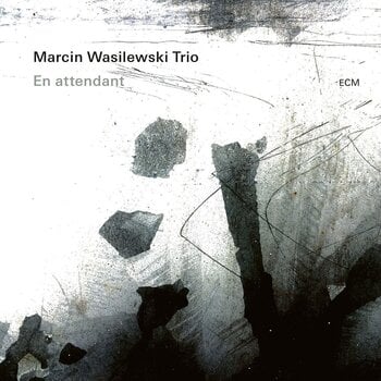 Schallplatte Marcin Wasilewski Trio - En Attendant (LP) - 1