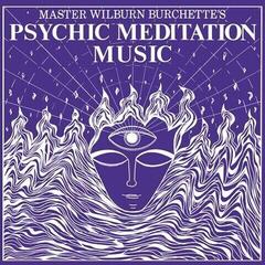 LP plošča Master Wilburn Burchette - Psychic Meditation Music (Reissue) (LP)