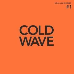 Vinyl Record Various Artists - Cold Wave #1 (2 LP)