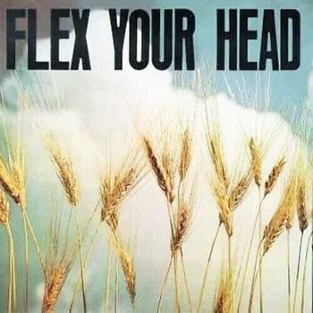 LP ploča Various Artists - Flex Your Head (Reissue) (Coloured) (LP) - 1