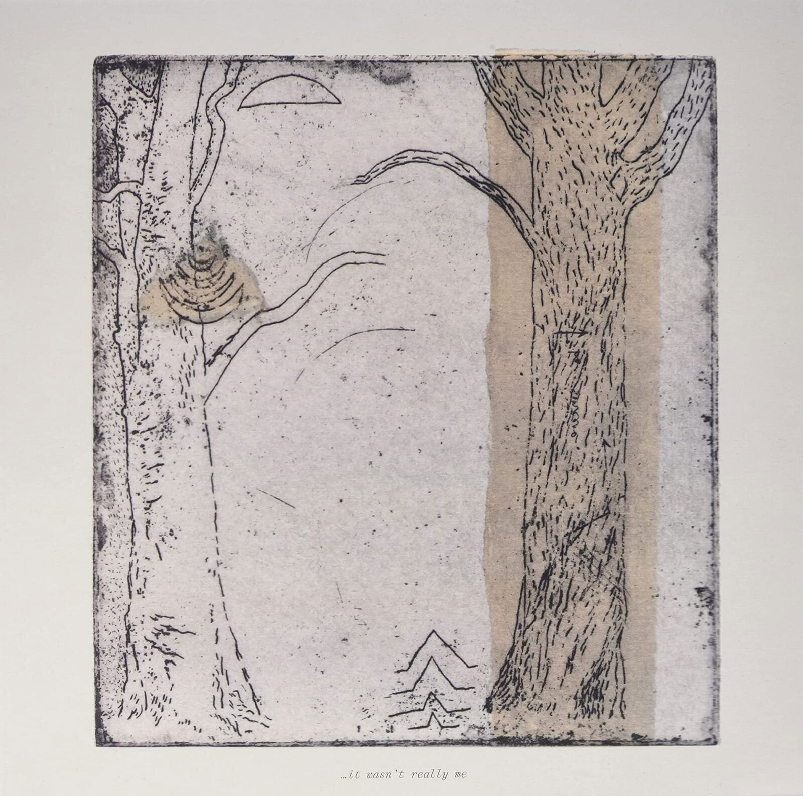 LP ploča Various Artists - It Wasn't Really Me (LP)