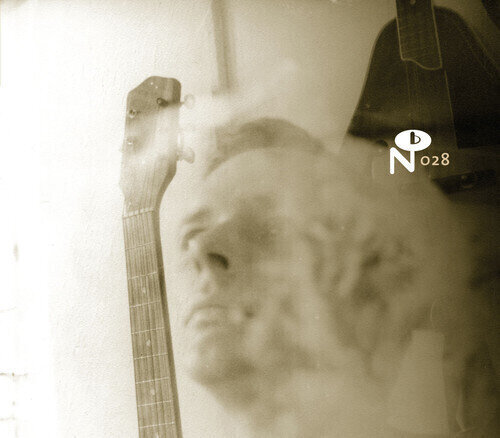 Disque vinyle Various Artists - Wayfaring Strangers: Lonesome Heroes (2 LP)