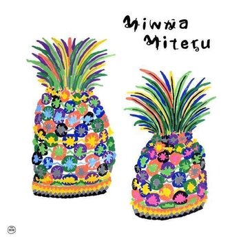 Schallplatte Various Artists - Minna Miteru (2 LP) - 1