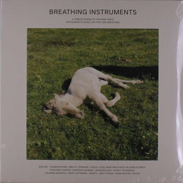 Disque vinyle Various Artists - Breathing Instruments (2 LP)