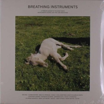 Disque vinyle Various Artists - Breathing Instruments (2 LP) - 1