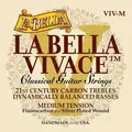 La Bella VIV-M Vivace Medium Nylon Strings