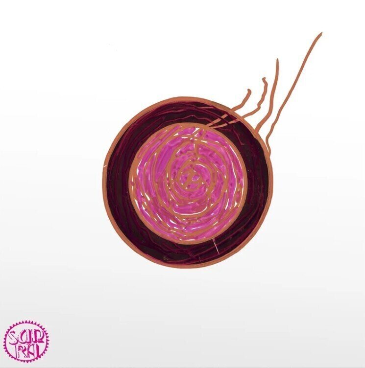 LP ploča Sun Ra - Sleeping Beauty (LP)